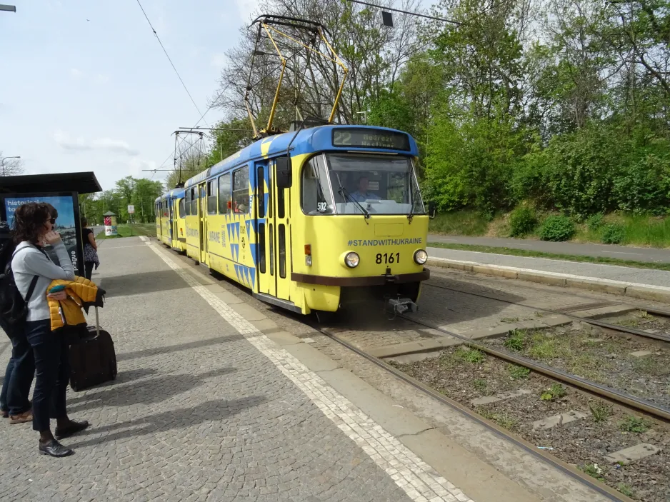 Prag Straßenbahnlinie 22 mit Triebwagen 8161 am Brusnice (2024)