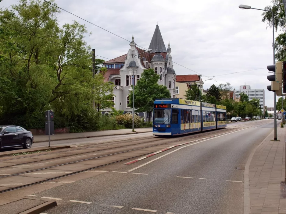 Rostock Straßenbahnlinie 6 mit Niederflurgelenkwagen 667 auf Rosa-Luxemburg-Str. (2010)