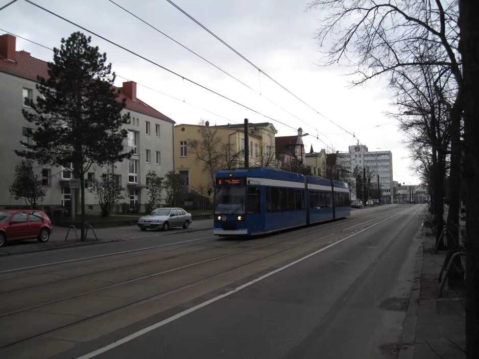 Rostock Straßenbahnlinie 6 mit Niederflurgelenkwagen 684 auf Rosa-Luxemburg-Straße (2015)