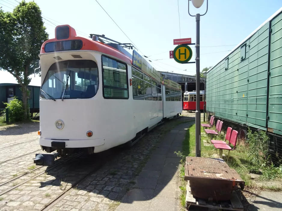 Schönberger Strand Gelenkwagen 7553 am Museumsbahnhof (2023)