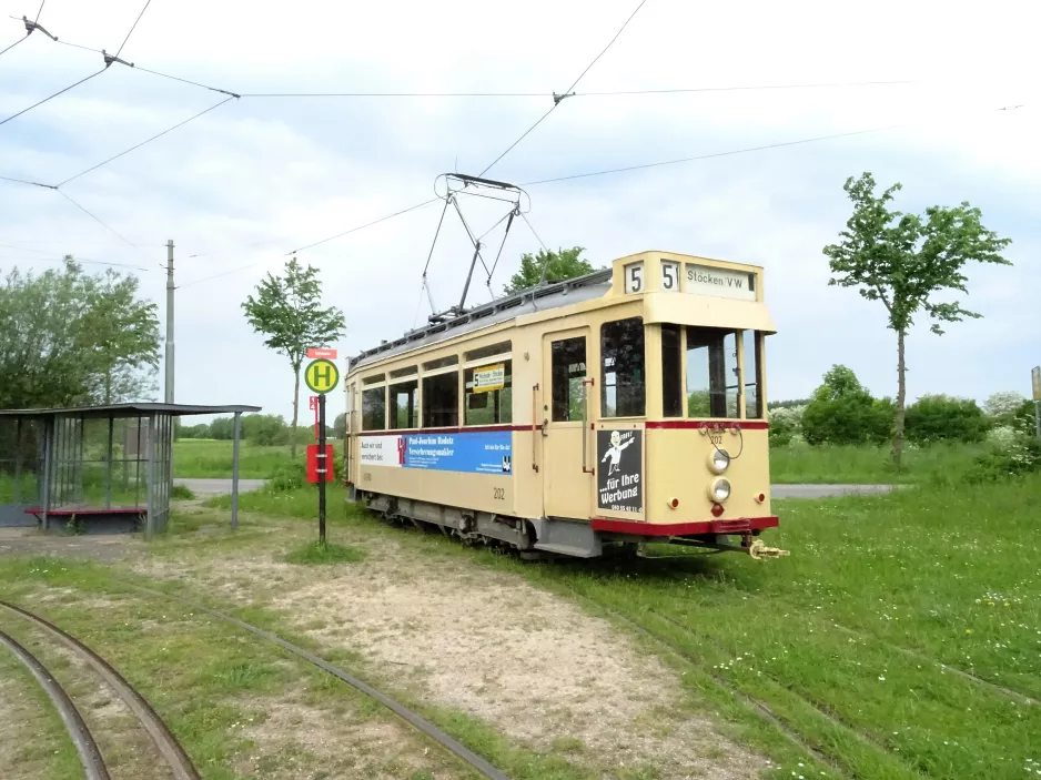 Schönberger Strand Triebwagen 202 am Nawimenta (2017)