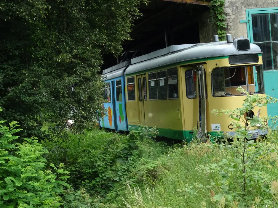 Schöneiche bei Berlin Gelenkwagen 47 vor Rahnsdörfer Str. (2024)