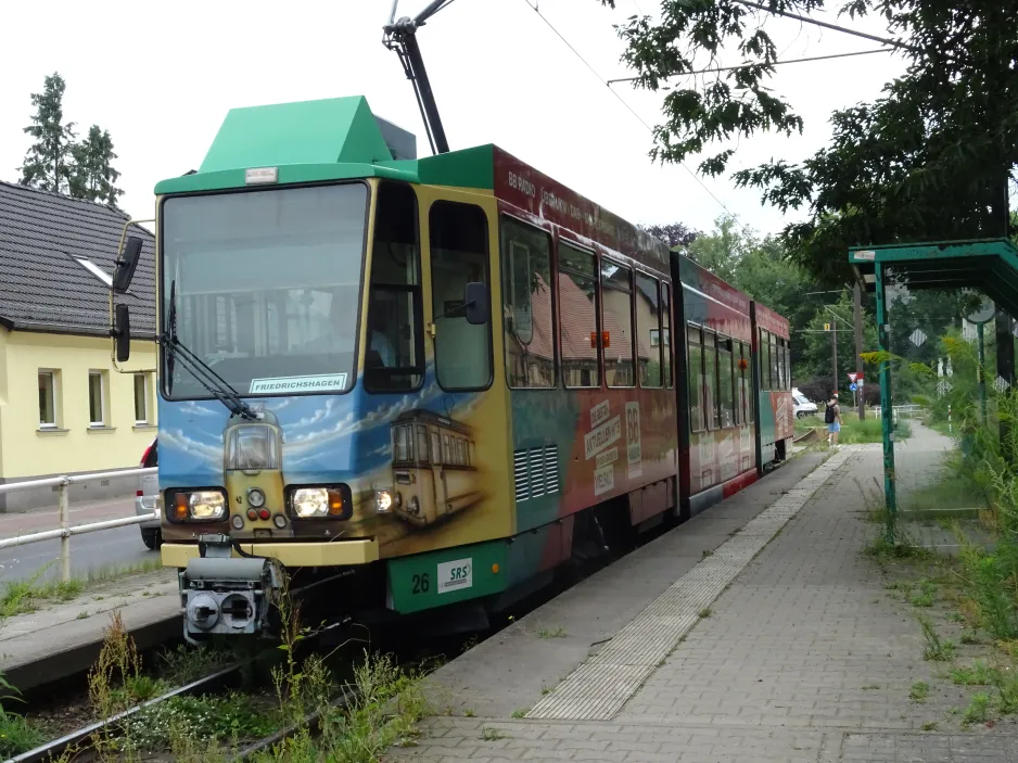 Schöneiche bei Berlin Straßenbahnlinie 88 mit Gelenkwagen 26 am Dorfstr. (2024)