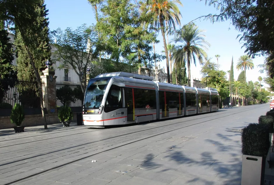 Sevilla Straßenbahnlinie T1 mit Niederflurgelenkwagen 302 auf Calle San Fernando (2017)