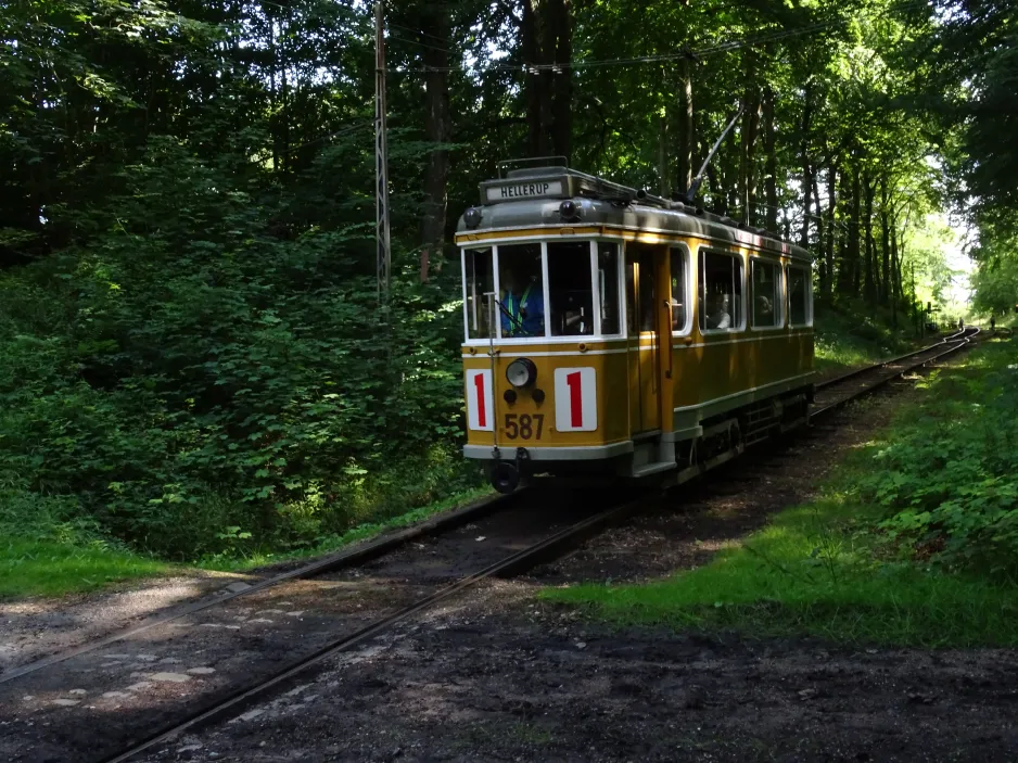 Skjoldenæsholm Normalspur mit Triebwagen 587 nahe bei Skovkanten (2024)