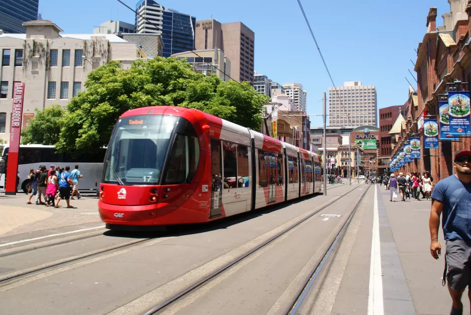 Sydney Stadtbahn Linie L1 mit Niederflurgelenkwagen 2117 auf Convention (2014)