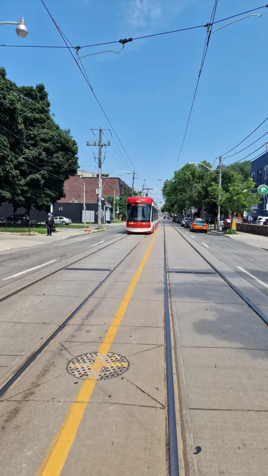 Toronto Niederflurgelenkwagen 4423nah Queen St E at Broadview (2024)