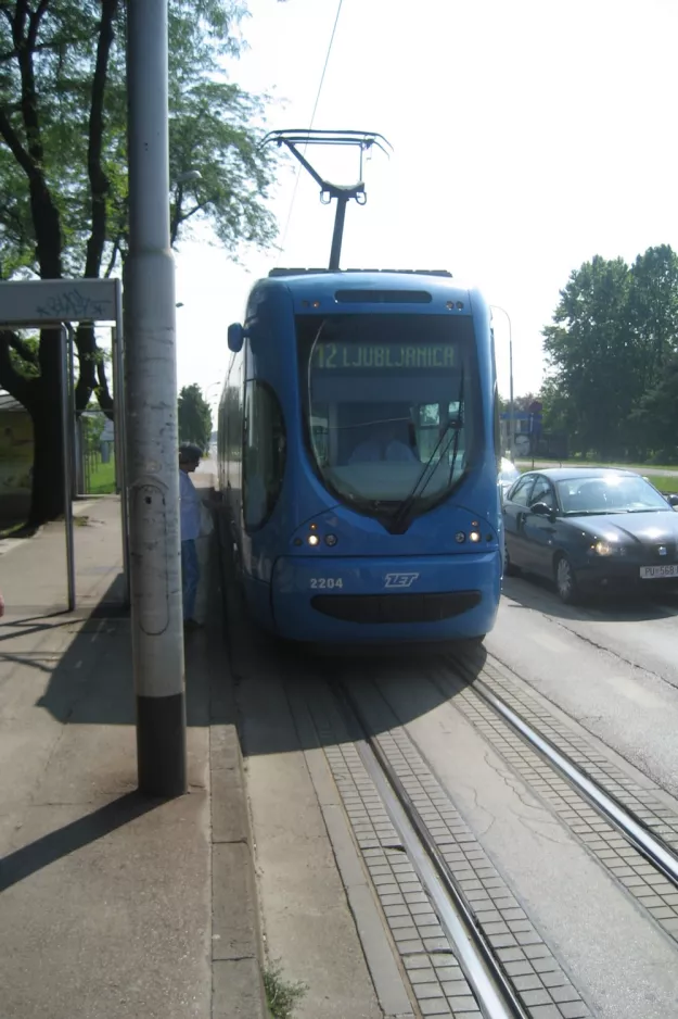 Zagreb Straßenbahnlinie 12 mit Niederflurgelenkwagen 2204 auf Maksimirska cesta (2008)
