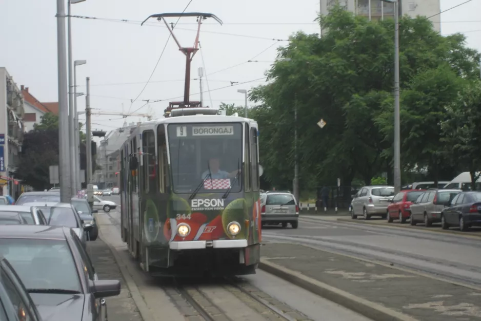Zagreb Straßenbahnlinie 9 mit Gelenkwagen 344 auf Ozaljska ulica (2008)