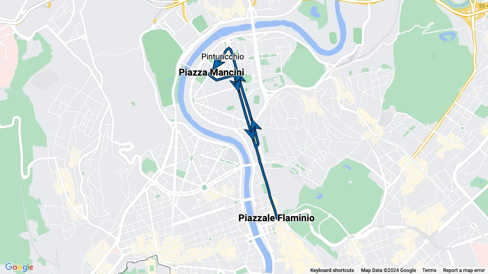 Rom Straßenbahnlinie 2: Piazzale Flaminio - Piazza Mancini Linienkarte