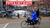 Amsterdam Transport / Transport w Amsterdamie