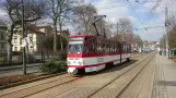 Gotha Straßenbahn (Stadtlinie), 23.-25.03.2018