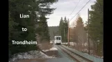 Gråkallbanen - Nördlichstes Straßenbahnsystem - Lian nach Trondheim - Minute für Minute!