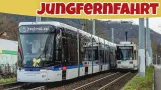Jenas neue Straßenbahn im Betrieb! | Railfunction
