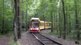 Nürnberg Tiergarten (tram)
