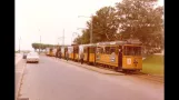 Straßenbahnen in Aarhus (1963)