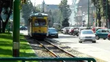 Straßenbahnen in Arad - Straßenbahnen in Arad (25. August 2011)