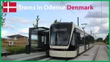 Straßenbahnen in Odense Dänemark | Stadtbahn | Übersicht über das neue Stadtbahnsystem | Stadler Variobahn