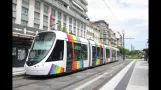 Straßenbahnen von Angers, Juni 2012