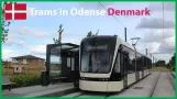 Trams in Odense Denmark | Letbane | New Lightrail system Overview | Stadler Variobahn