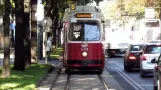 Vienna Trams - Straßenbahn Wien
